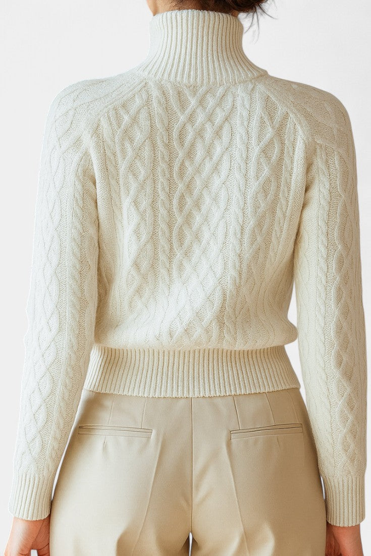 Exclusive Liliosa High Collar Zipped Cardigan in Twisted Knit