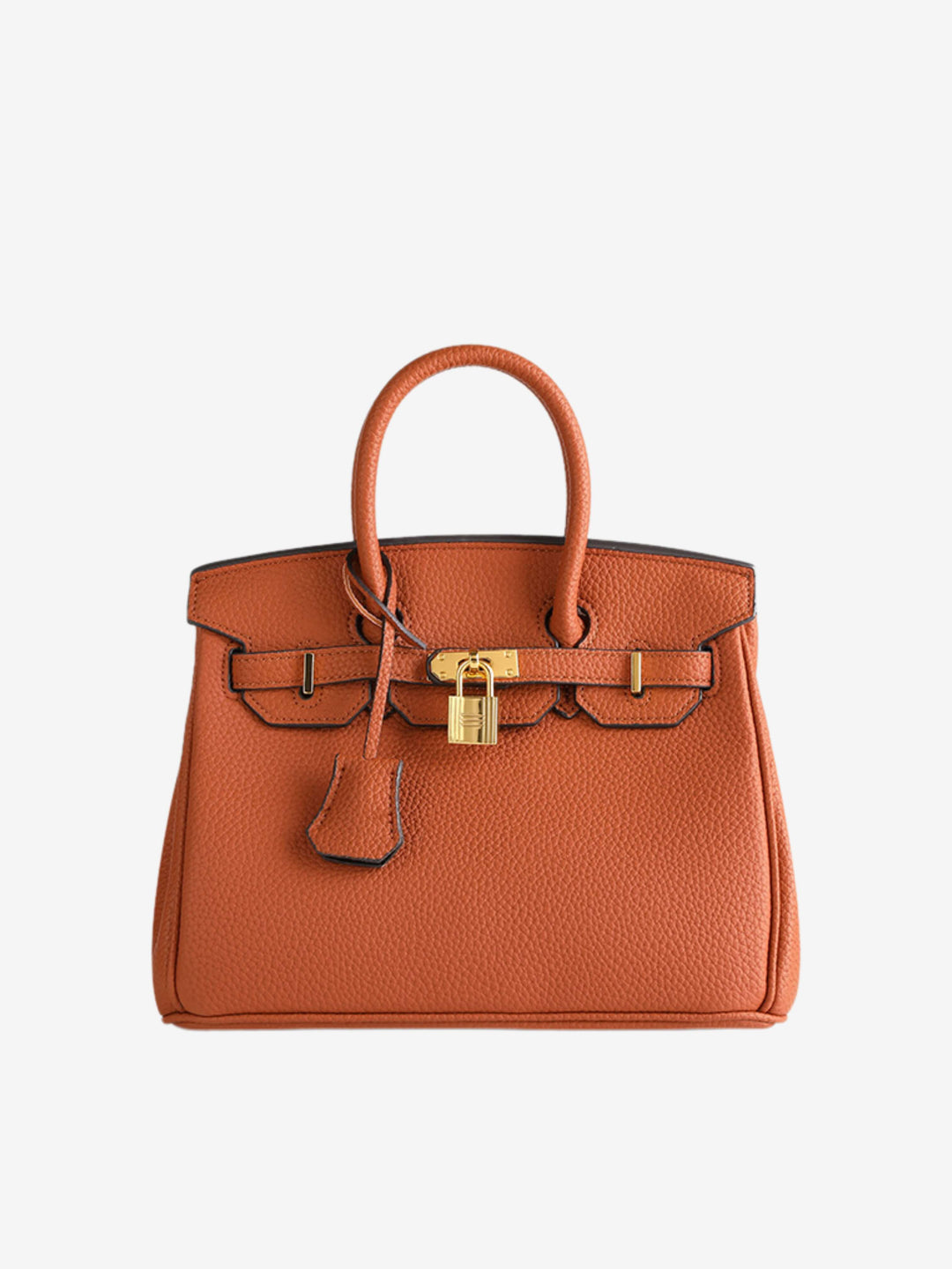 Colette | Compact Structured Lock Handbag
