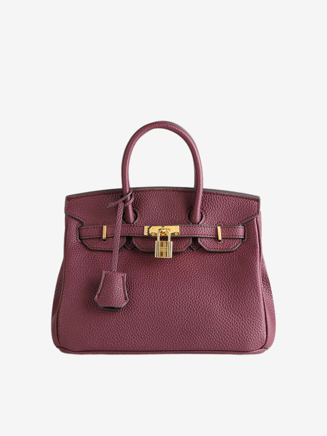 Colette | Compact Structured Lock Handbag