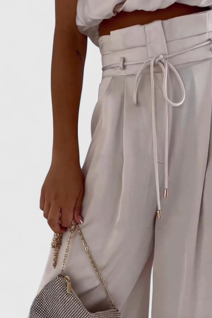 Helira Minimalist Set: Tailored Top with Pleated Palazzo Trousers