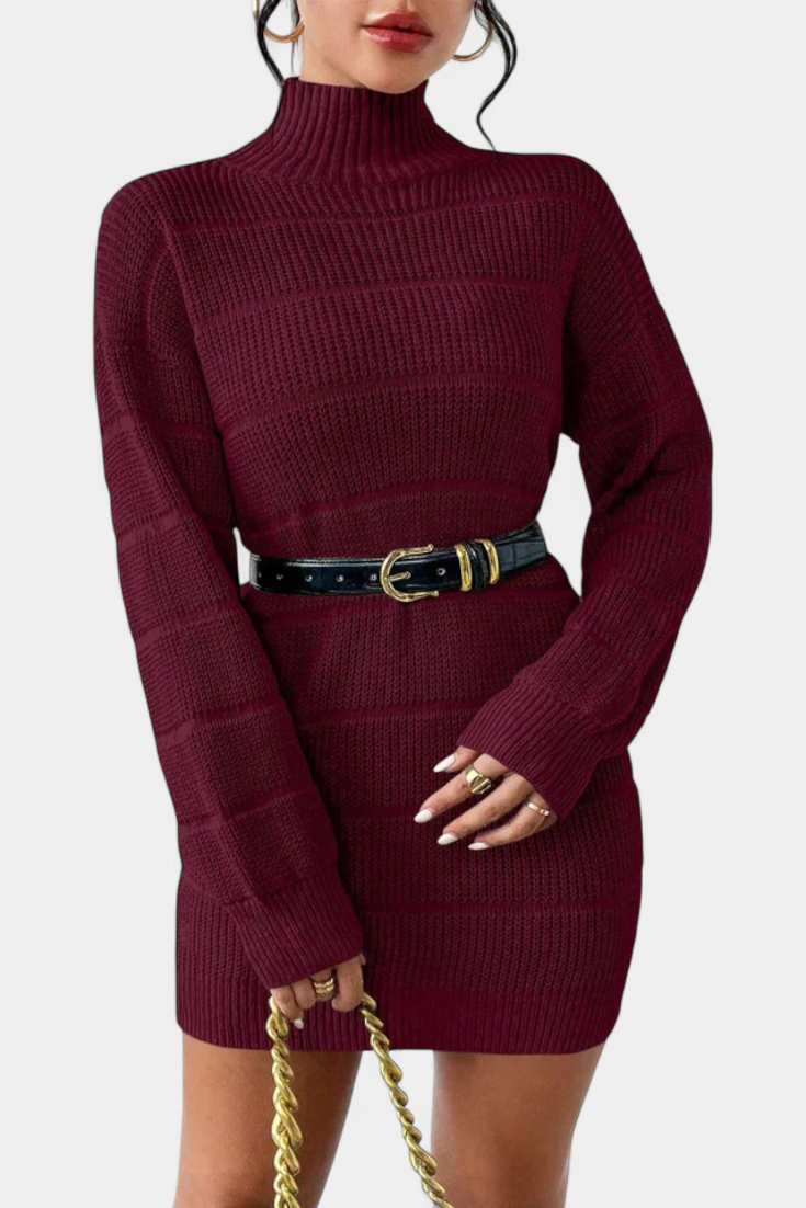 Margaux Turtleneck Mini Sweater Dress