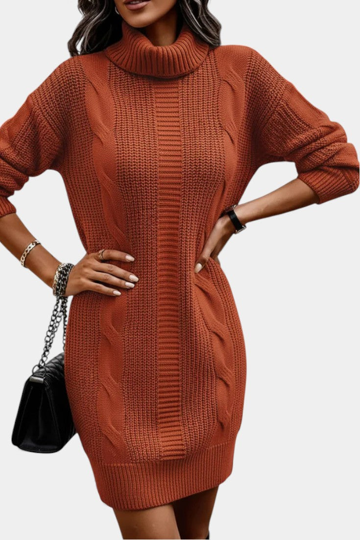 Taciana Long Sleeve Roll Neck Knitted Dress