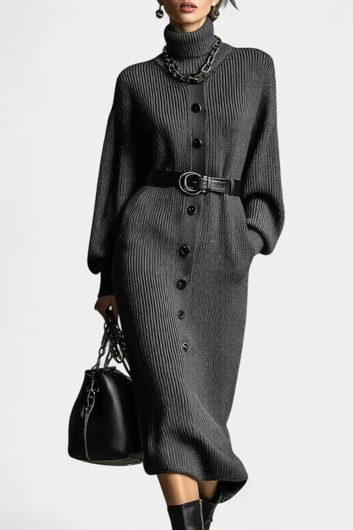 Orianna Turtleneck Casual Knit Dress