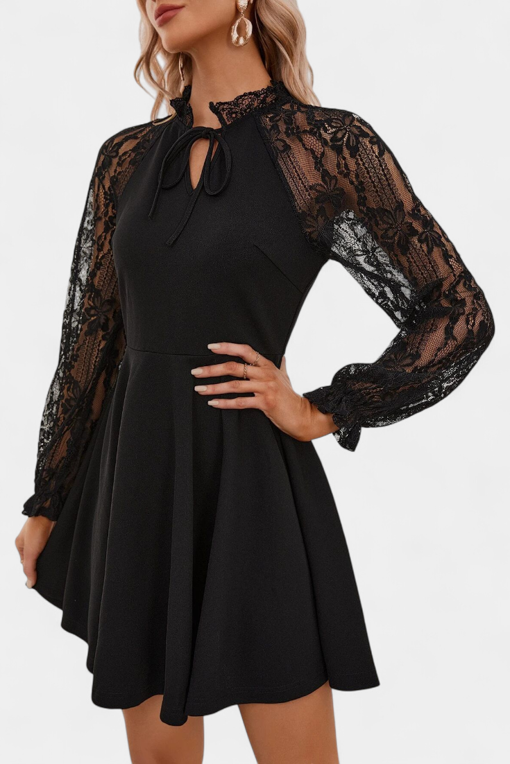 Jasella Long Sleeve Mini Lace Dress