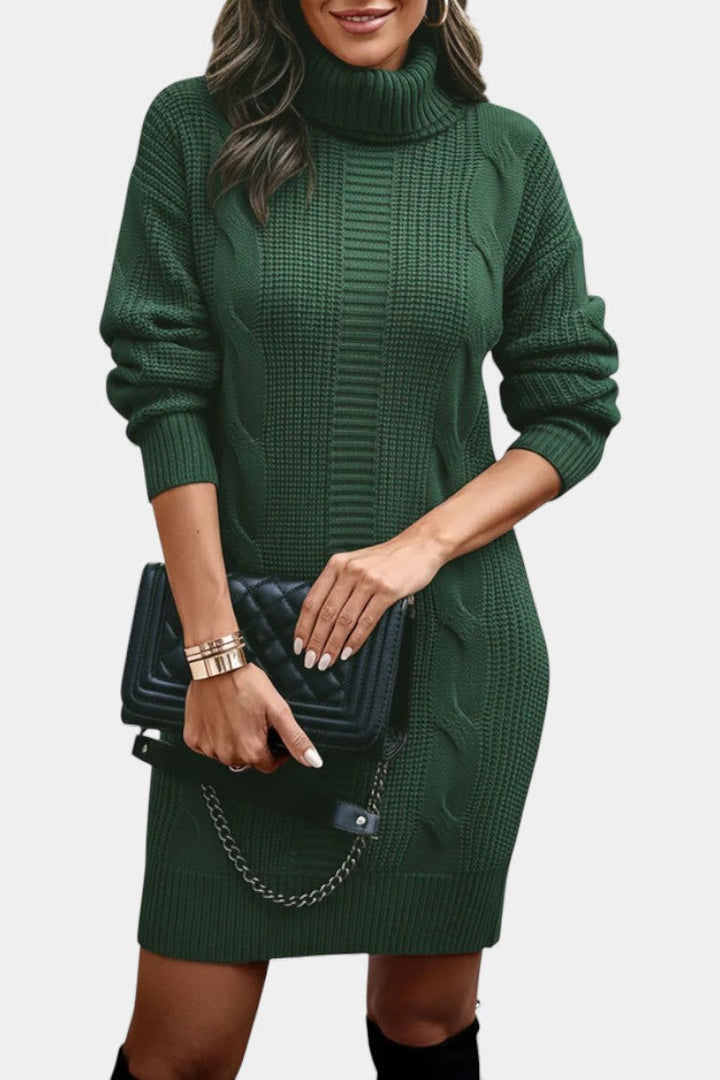 Taciana Long Sleeve Roll Neck Knitted Dress