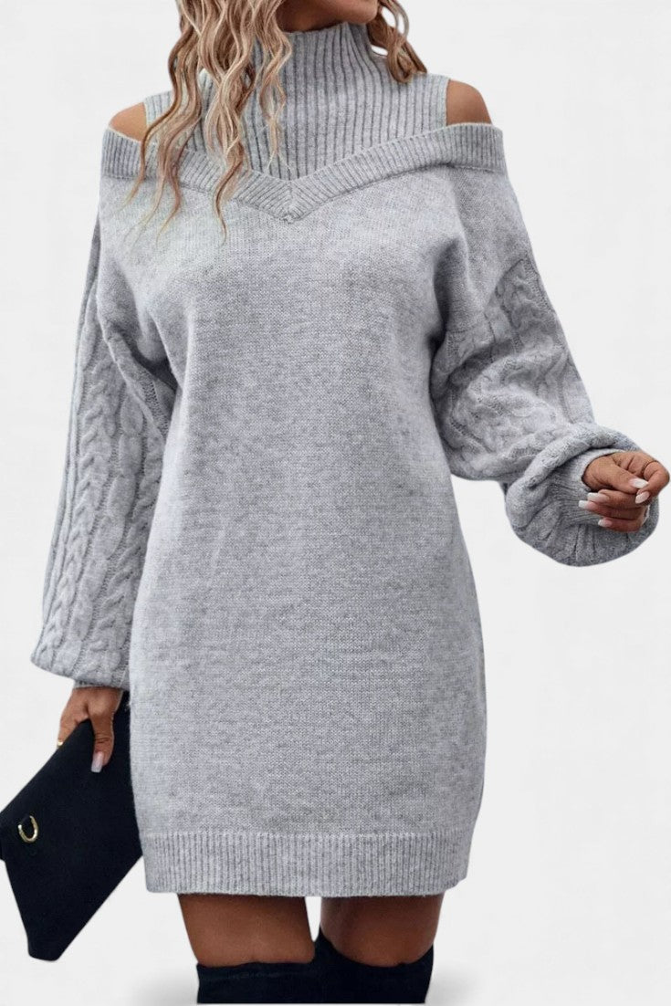 Léonisse Off-Shoulder Mini Knit Dress with High Collar