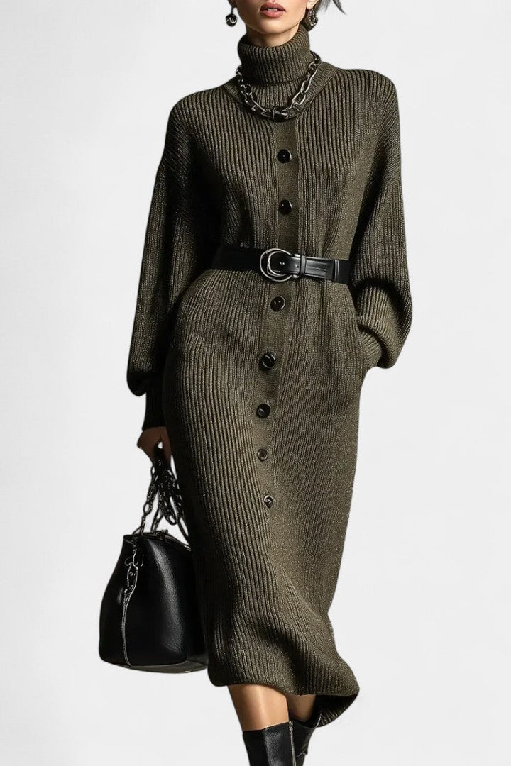 Orianna Turtleneck Casual Knit Dress
