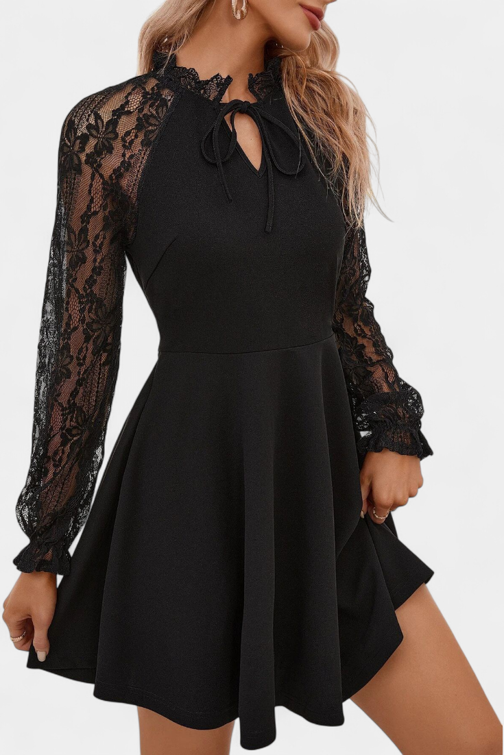Jasella Long Sleeve Mini Lace Dress