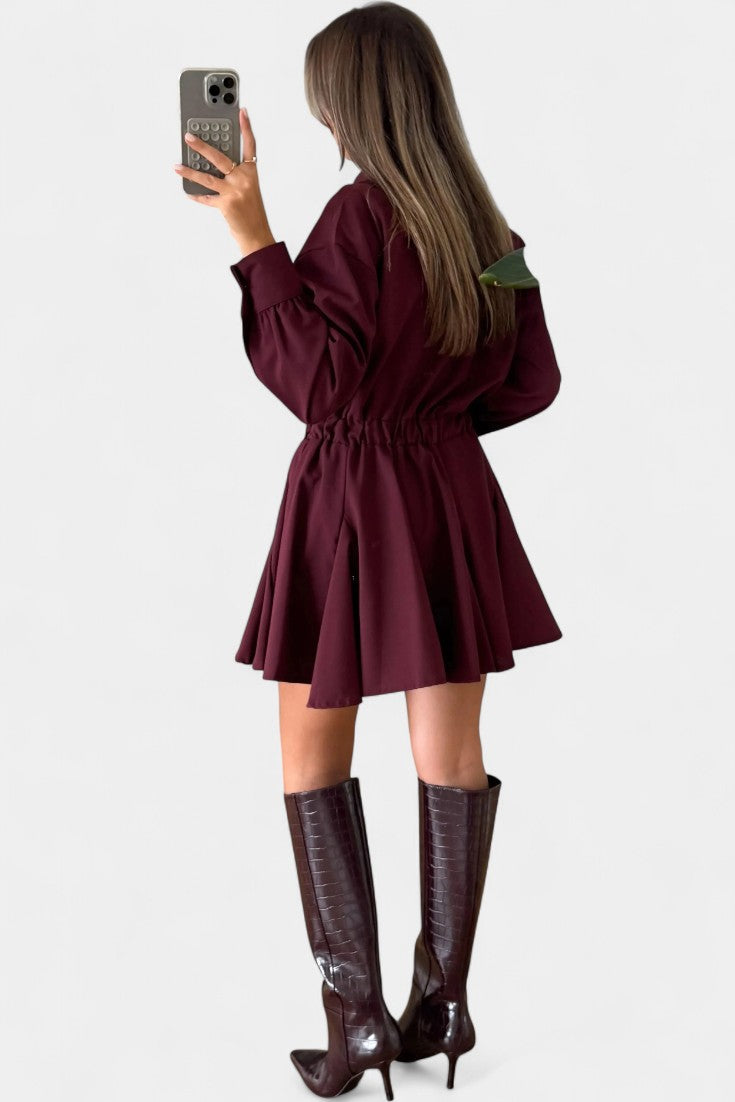 Rasine Long Sleeve Mini Dress with Sleek Silhouette