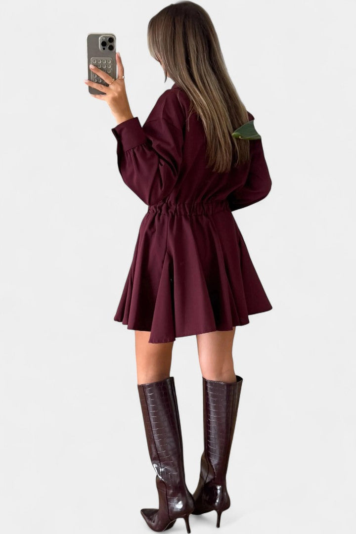 Rasine Long Sleeve Mini Dress with Sleek Silhouette