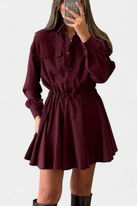 Rasine Long Sleeve Mini Dress with Sleek Silhouette
